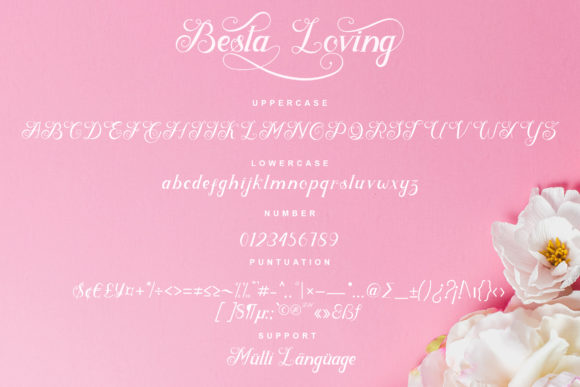Besta Loving Font - Preview 6
