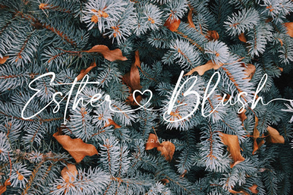 Bloom Winter Font - Preview 6