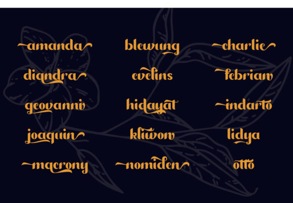 Diandra Font - Preview 6