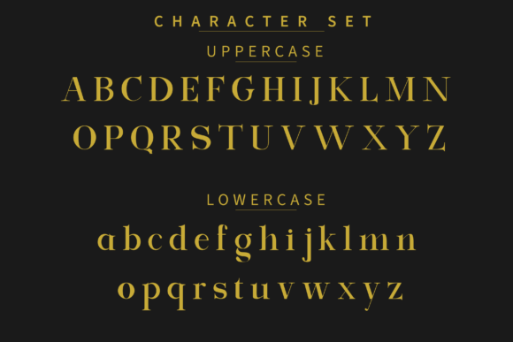 Exclusive Serif Font - Preview 3