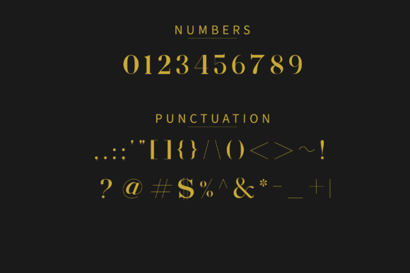 Exclusive Serif Font - Preview 4