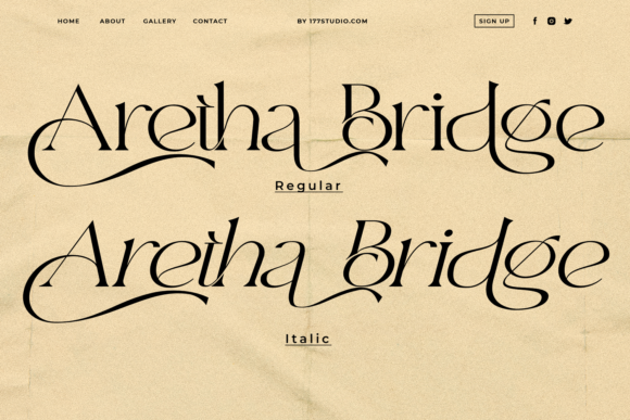 Aretha Bridge Font PNG with transparent background - Preview 5