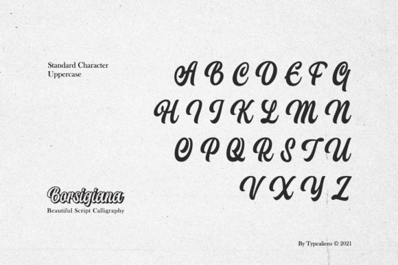 Borsigiana Font - Preview 5
