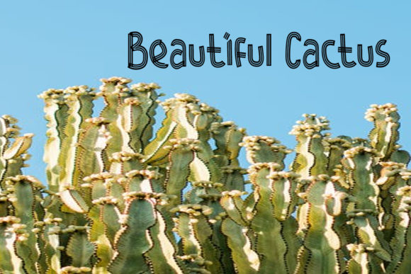 Desert Cactus Font - Preview 1