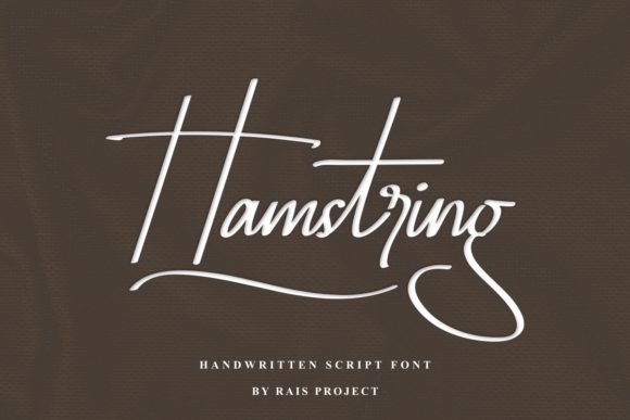 Hamstring Script & Handwritten Font By RaisProject