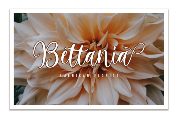 Harmony Family Font - Preview 2