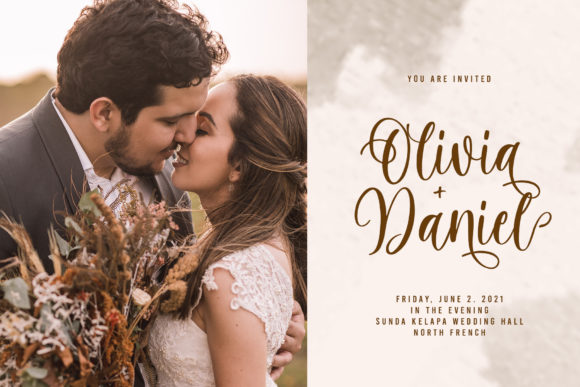 Harmony Family Font - Preview 3