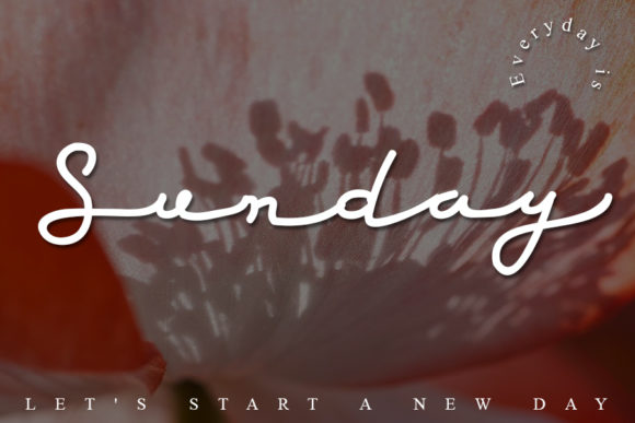 Red Grape Font PNG with transparent background - Preview 1