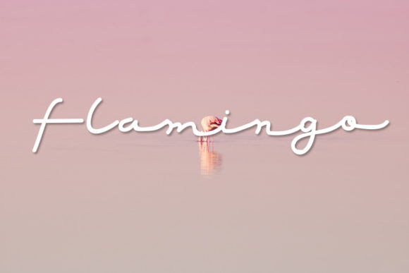 Red Grape Font PNG with transparent background - Preview 2