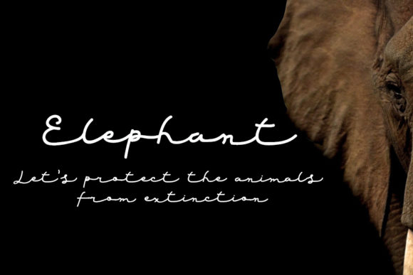 Red Grape Font PNG with transparent background - Preview 3
