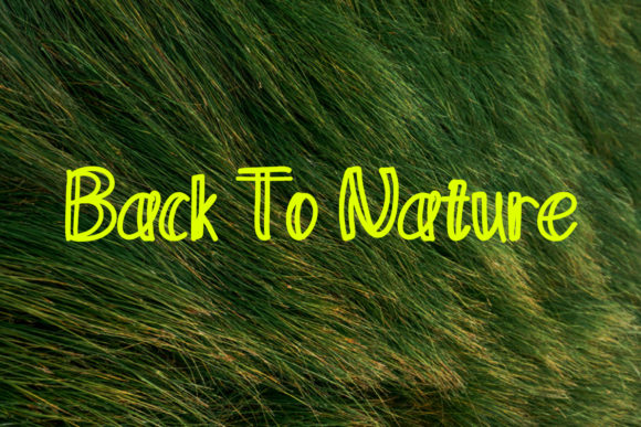 Beauty Farm Font PNG with transparent background - Preview 3