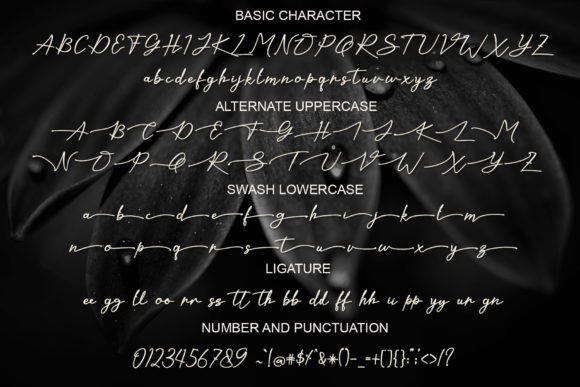 Kaliurang Signature Font PNG with transparent background - Preview 5