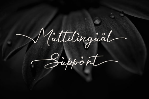 Kaliurang Signature Font PNG with transparent background - Preview 6