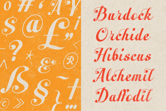 Peacher Font PNG with transparent background - Preview 6