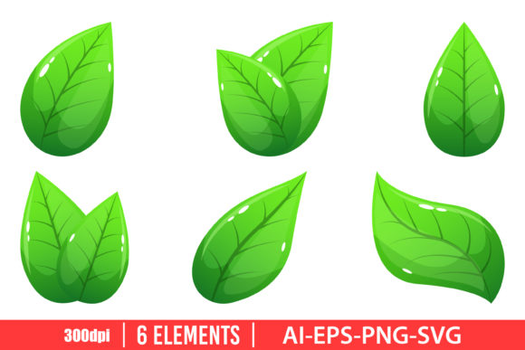 Realistic Leaf Clipart Set Grafik Druckbare Illustrationen Von Emil Timplaru Store