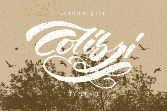 Colibri Font - Preview 1