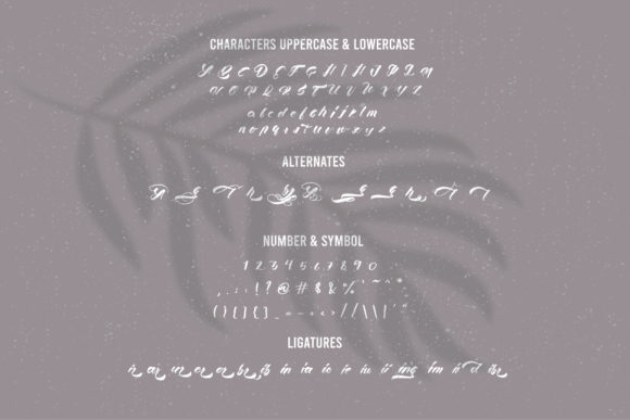 Colibri Font - Preview 2