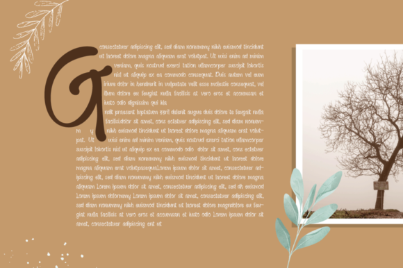 Keong Font PNG with transparent background - Preview 2