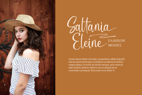 Slandia Signature Font font preview - 3