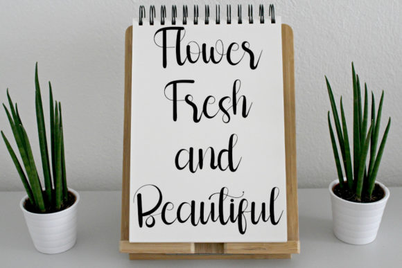 Multitalent Font PNG with transparent background - Preview 3