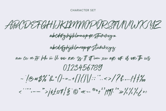 Alphasoil Font - Preview 3