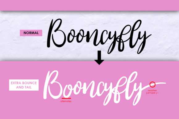 Booncyfly Font - Preview 3