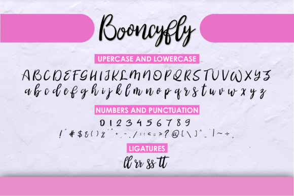 Booncyfly Font - Preview 4