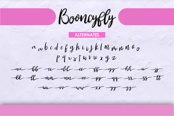 Booncyfly Font - Preview 5
