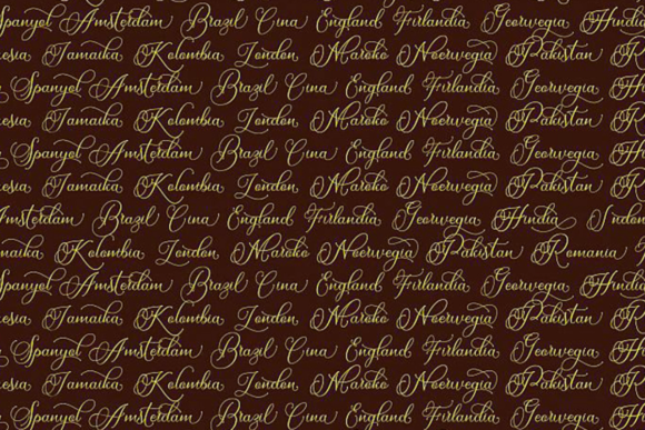 Dellina Script Font - Preview 6