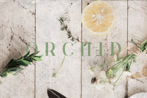 Orchid Fonts