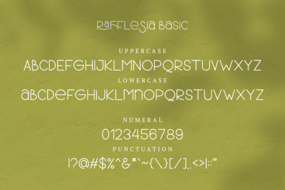 Rafflesia Font PNG with transparent background - Preview 2
