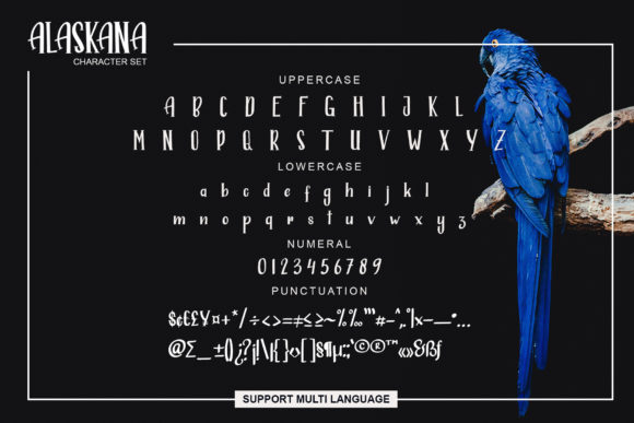 Alaskana Font - Preview 4