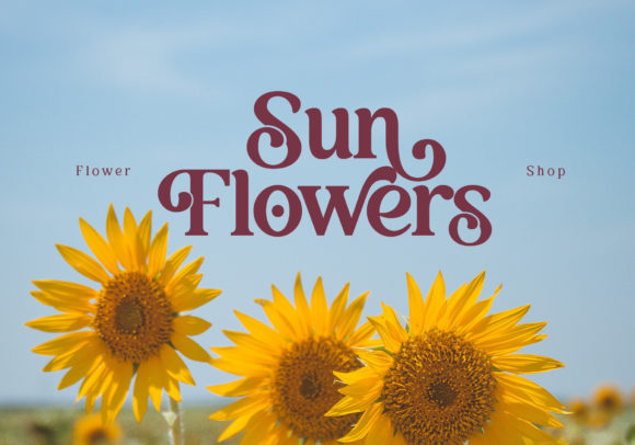 Balivia Font PNG with transparent background - Preview 4
