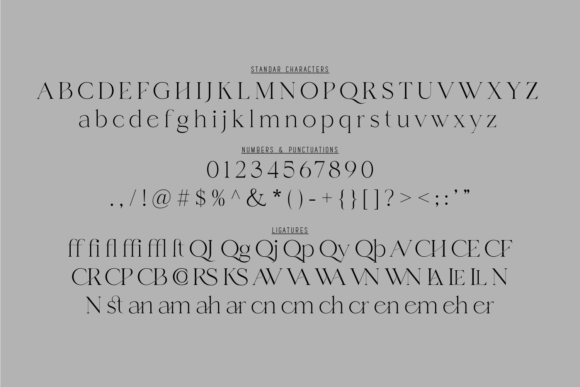 Channe Font - Preview 6