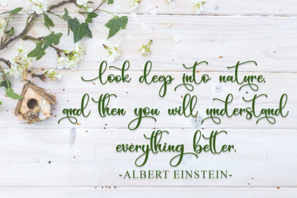 Green Leaves Font PNG with transparent background - Preview 4