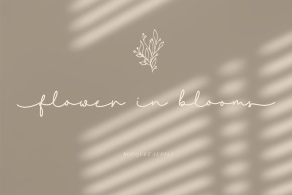 Mirabille Font PNG with transparent background - Preview 1