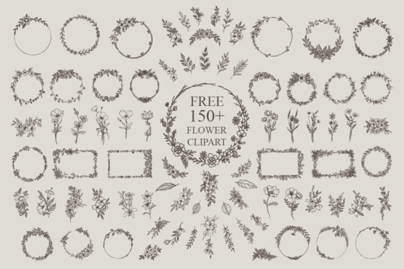 Misha Salma Font PNG with transparent background - Preview 3