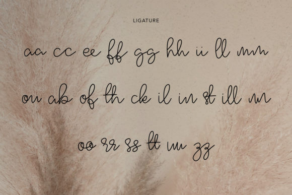 Moffle Chee Handwritten Font PNG with transparent background - Preview 4