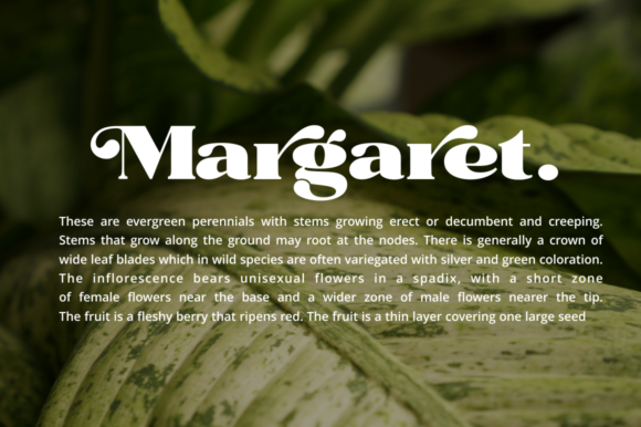 Rochie Font PNG with transparent background - Preview 4