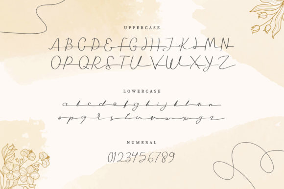 Seledina Font PNG with transparent background - Preview 1