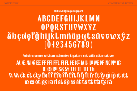 Pulchra Font PNG with transparent background - Preview 2