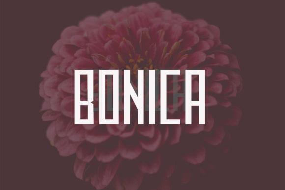 Jaquelin Font PNG with transparent background - Preview 3