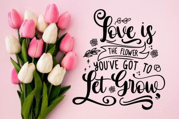 Andy & Anna Font - Preview 1