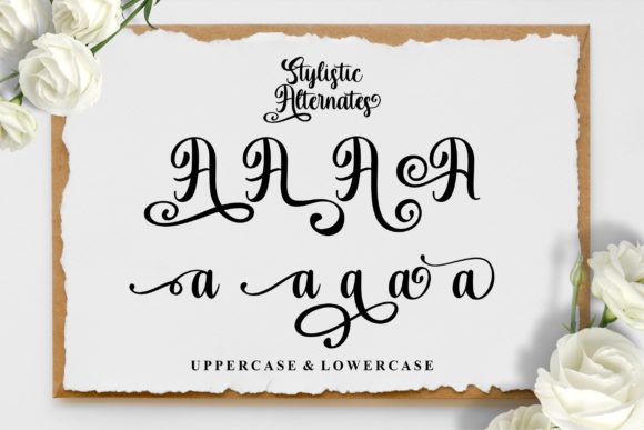 Andy & Anna Font - Preview 5