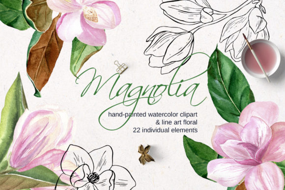 Pink Magnolia Watercolor, Lineart Flower Graphic Illustrations By Elena Dorosh Art