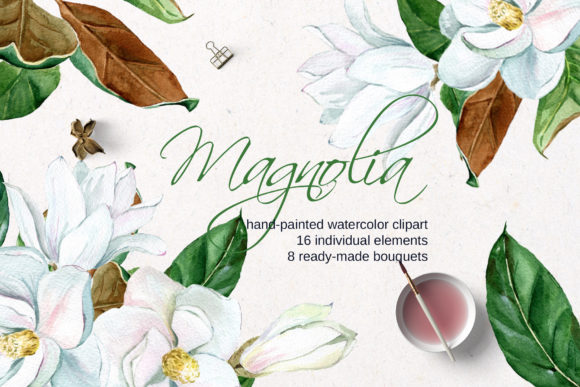 White Watercolor Magnolia Gráfico Ilustraciones Imprimibles Por Elena Dorosh Art