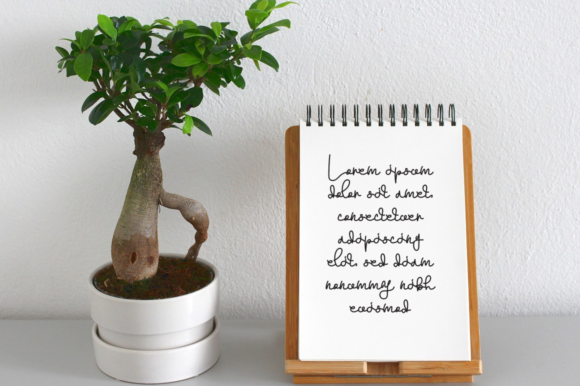Abashed Font - Preview 2
