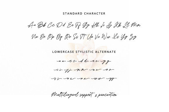 Anthonio Bradley Font - Preview 4