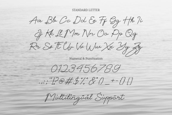 Anthony Houston Font - Preview 6