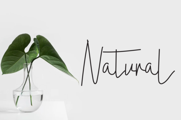 Athalia Beauty Font PNG with transparent background - Preview 1